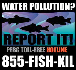Water Pollution? Report It! PA Fish and Boat toll free hotline. 855-FISH-KIL.