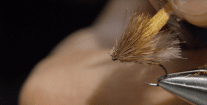 Read more about the article Clueless Caddis Dry Dropper