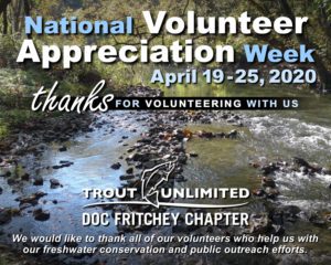 Read more about the article National Volunteer Appreciation Week