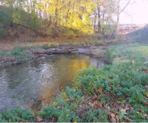Read more about the article Spring Creek Watershed Association On the Horizon