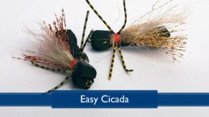 Read more about the article Tying the Easy Cicada with Rich DiStanislao