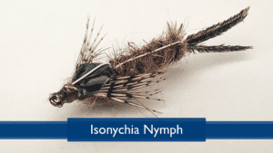 Read more about the article Tying the Isonychia Nymph with Rich DiStanislao