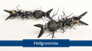 Read more about the article Tying a Hellgrammite with Rich DiStanislao