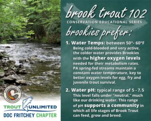 Read more about the article Brook Trout 102: Brookies Prefer