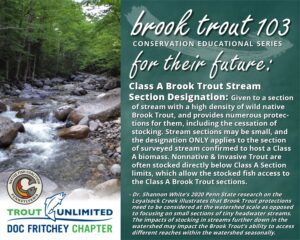 Read more about the article Brook Trout 103: For Their Future
