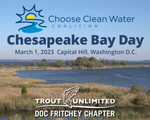 Read more about the article Chesapeake Bay Day on Capitol Hill