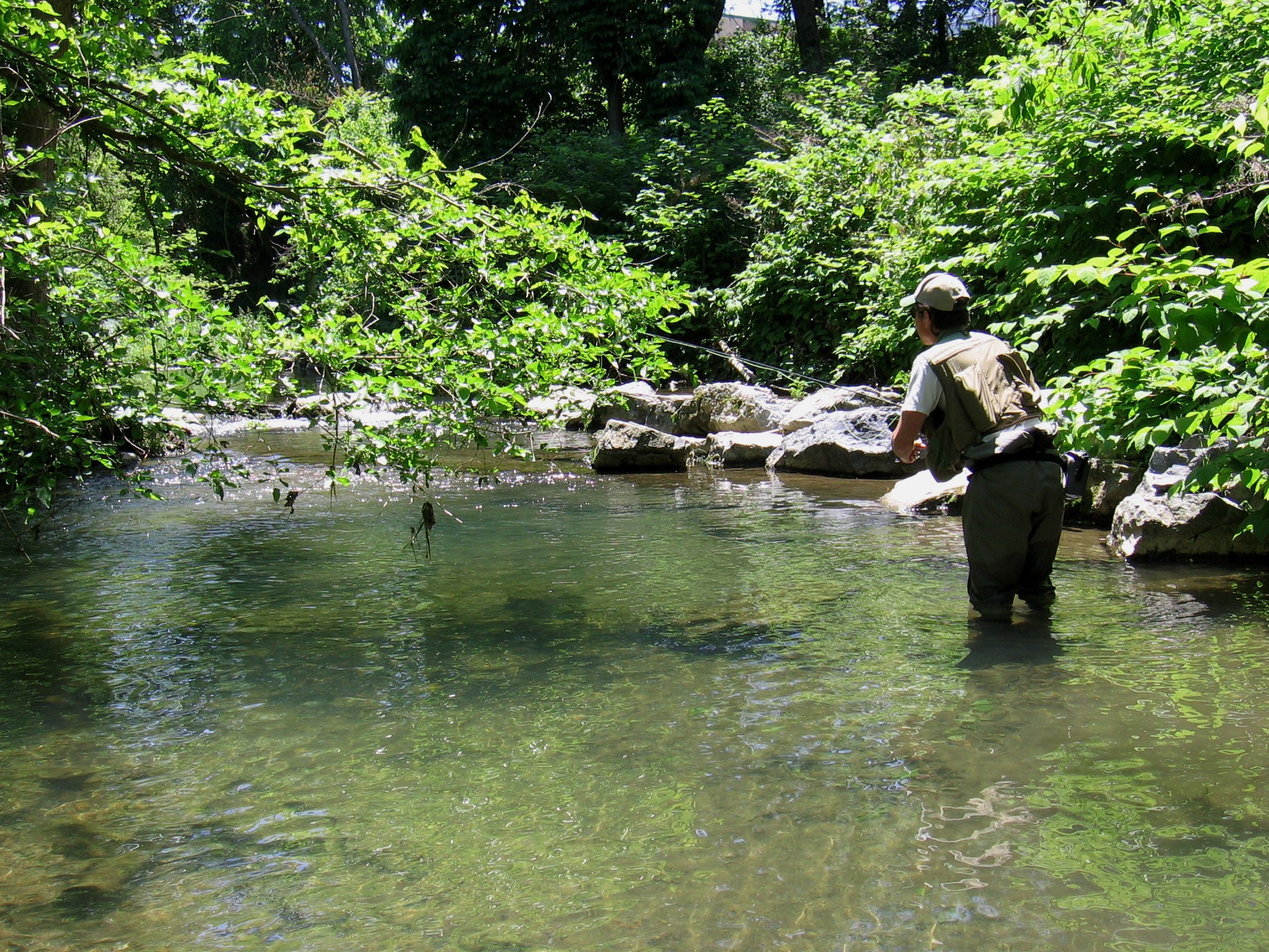 Fly Fisherman  Harrisburg PA