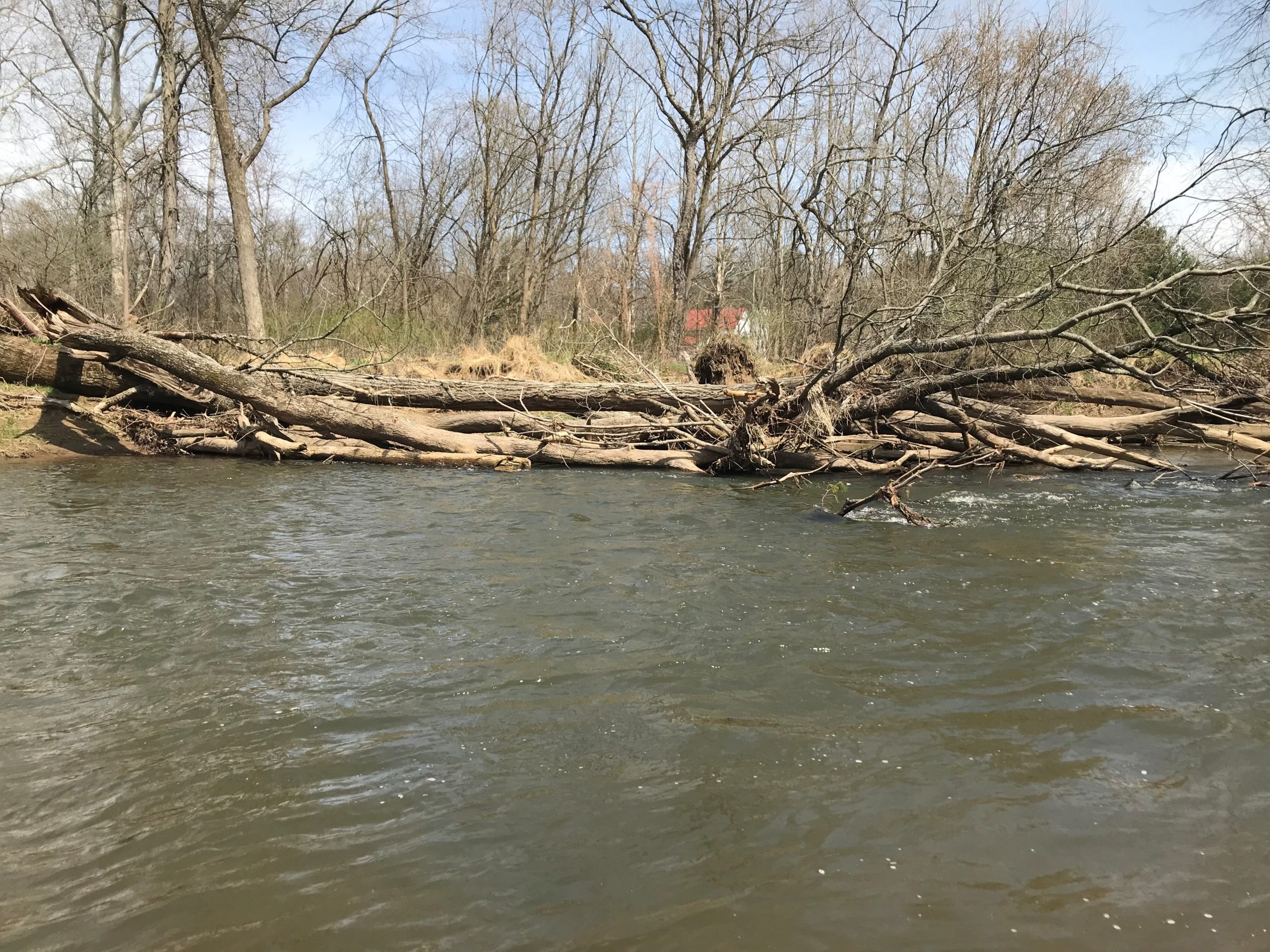 Benefits of Large Woody Debris in Streams - Doc Fritchey Trout Unlimited