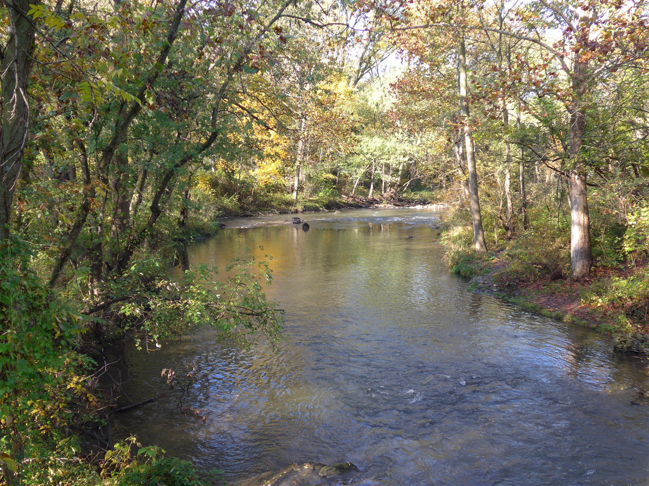 Quittapahilla Creek - Doc Fritchey Trout Unlimited