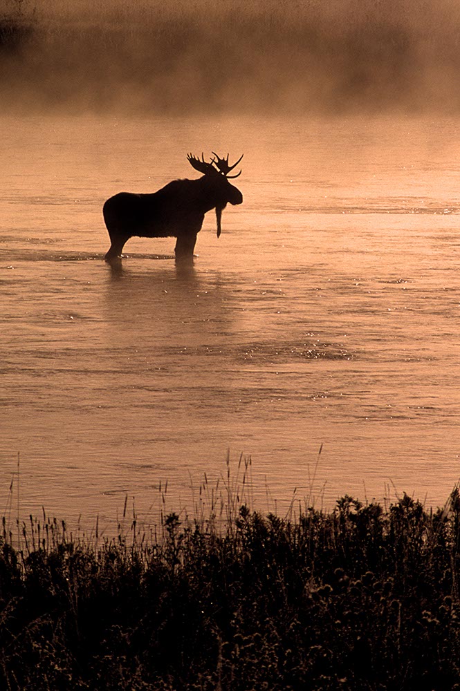 The Next Step in the Fight for Bristol Bay Doc Fritchey Trout Unlimited