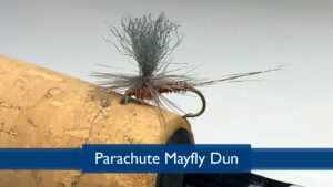 Read more about the article Tying the Parachute Mayfly Dun with Rich DiStanislao