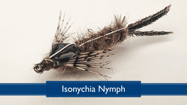 Tying the Isonychia Nymph with Rich DiStanislao - Doc Fritchey Trout ...