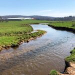 Hammer Creek Watershed Project Update