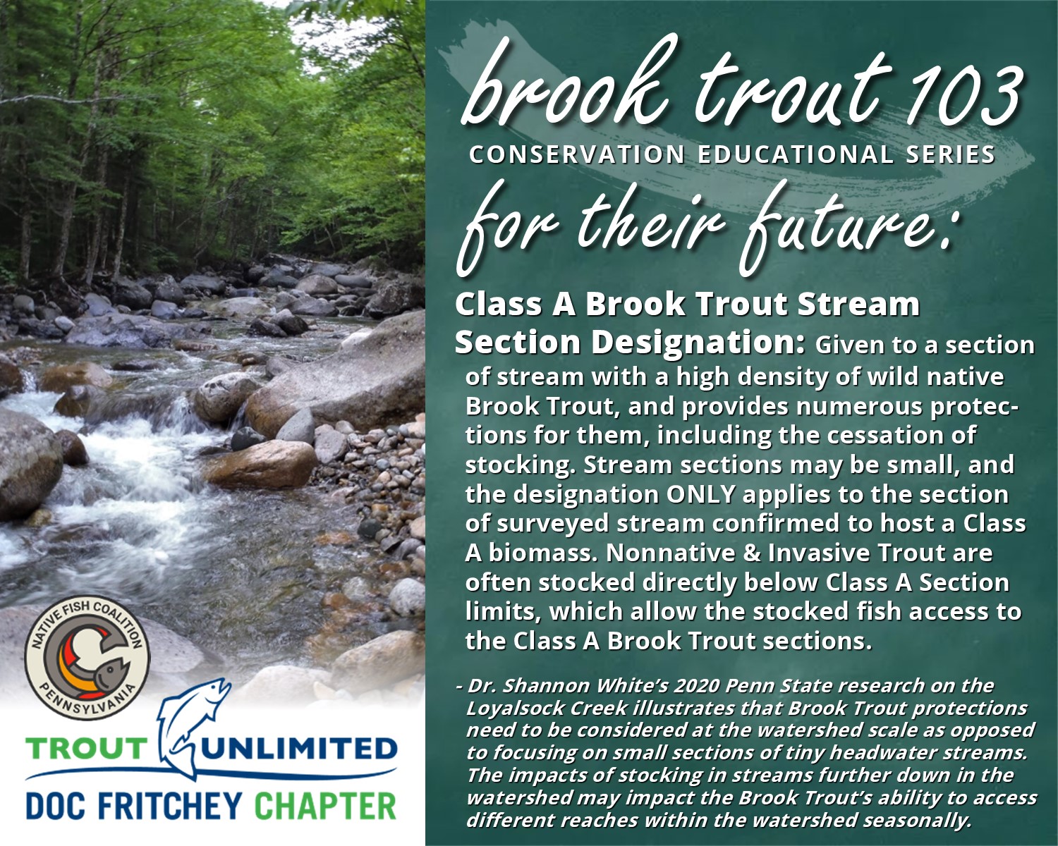 You are currently viewing Brook Trout 103: For Their Future
