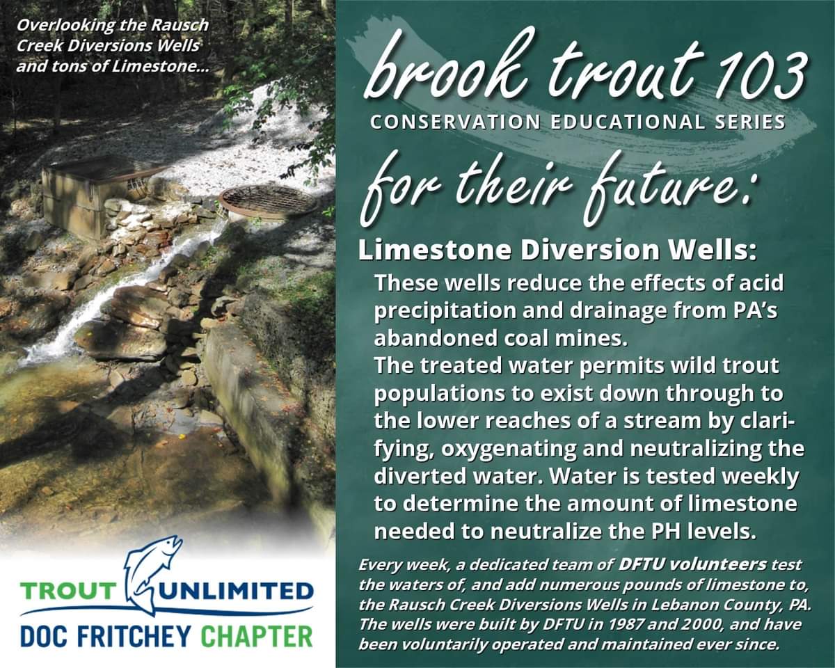 You are currently viewing Brook Trout 103: For Their Future