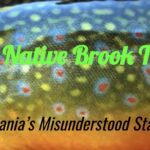 Native Brook Trout: PA’s Misunderstood State Fish with Dr. Jim Suleski