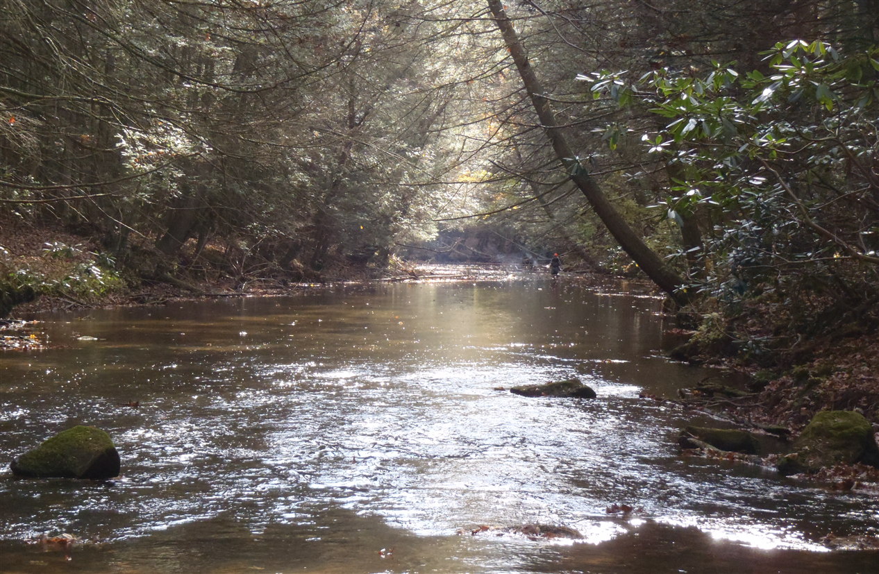 Greg Hoover - Doc Fritchey Trout Unlimited