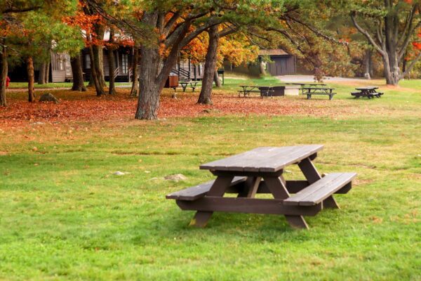 a picnic table in the middle of a park