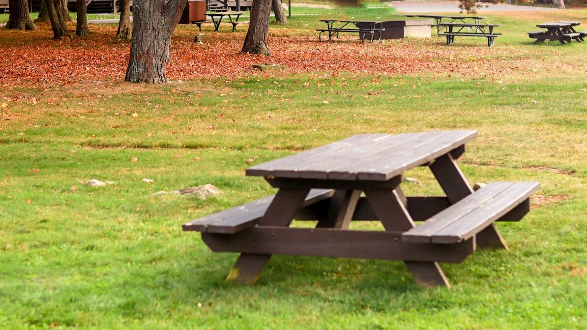 a picnic table in the middle of a park